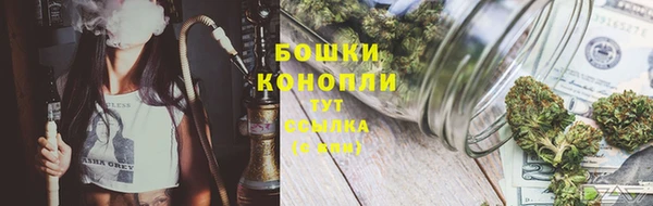 хмурый Белокуриха