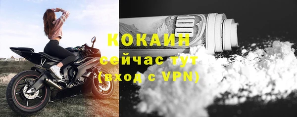 прущие крисы Беломорск