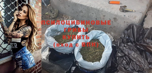 apvp Бугульма