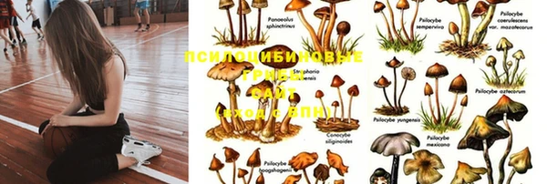 apvp Бугульма