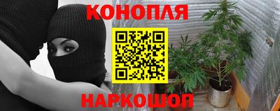 тгк Берёзовский